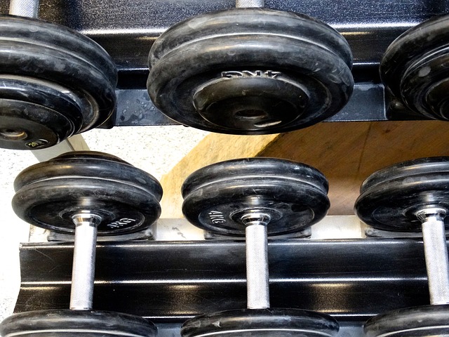 2 rows of hand weights are shown close up.